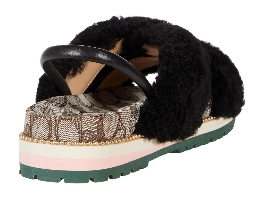 商品Coach|Tally Sandal,价格¥263,第5张图片详细描述