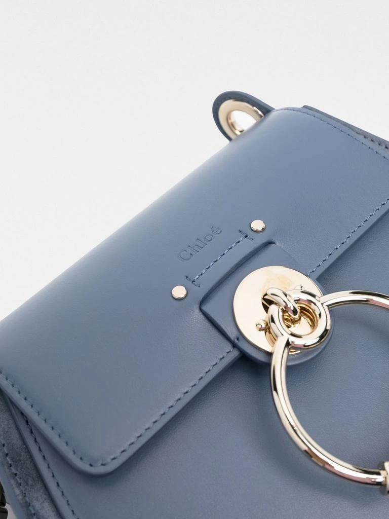 商品Chloé|CHLOÃ - Tess Small Leather Crossbody Bag,价格¥12010,第3张图片详细描述