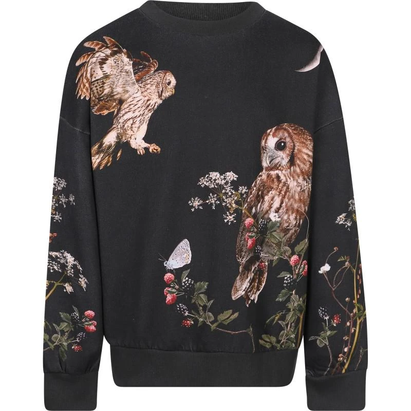 商品MOLO|Moonlight owls print organic sweatshirt in black,价格¥693,第1张图片