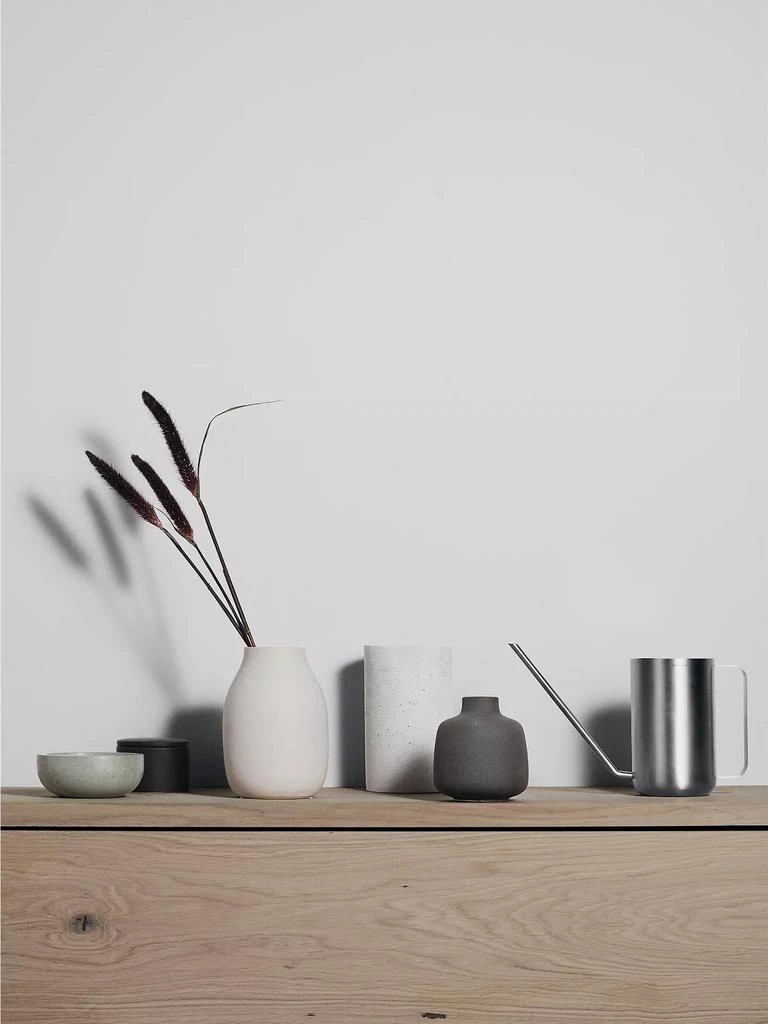 商品blomus|Stainless Steel Watering Can,价格¥817,第4张图片详细描述