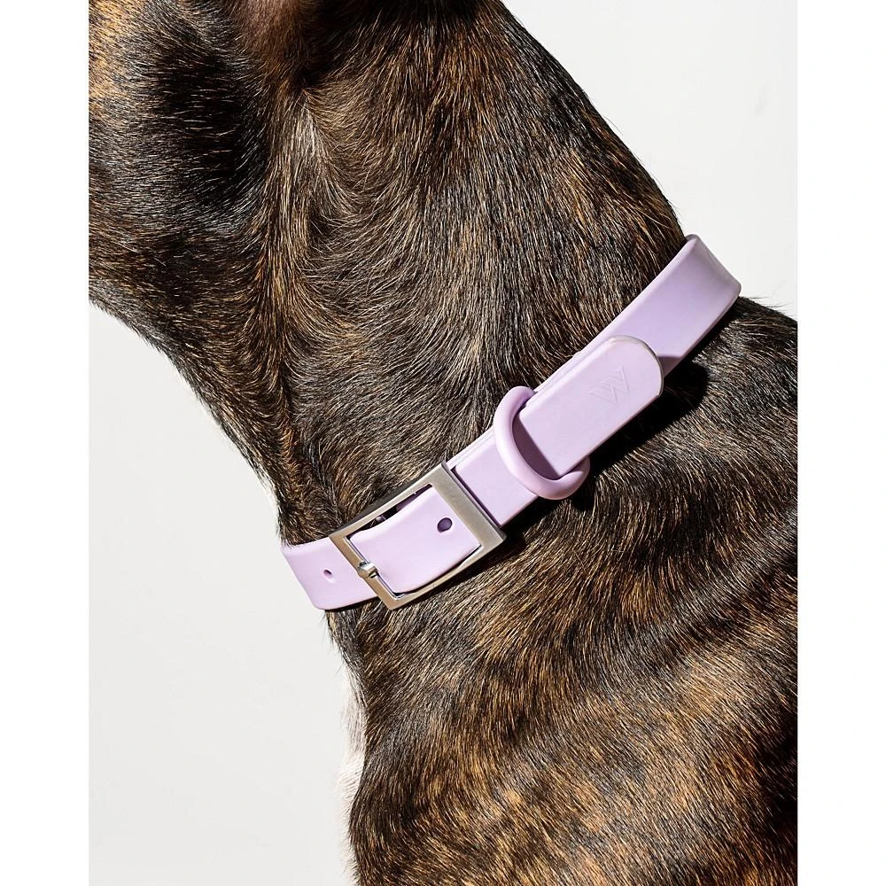 商品Wild One|Collar for Dogs,价格¥283,第2张图片详细描述