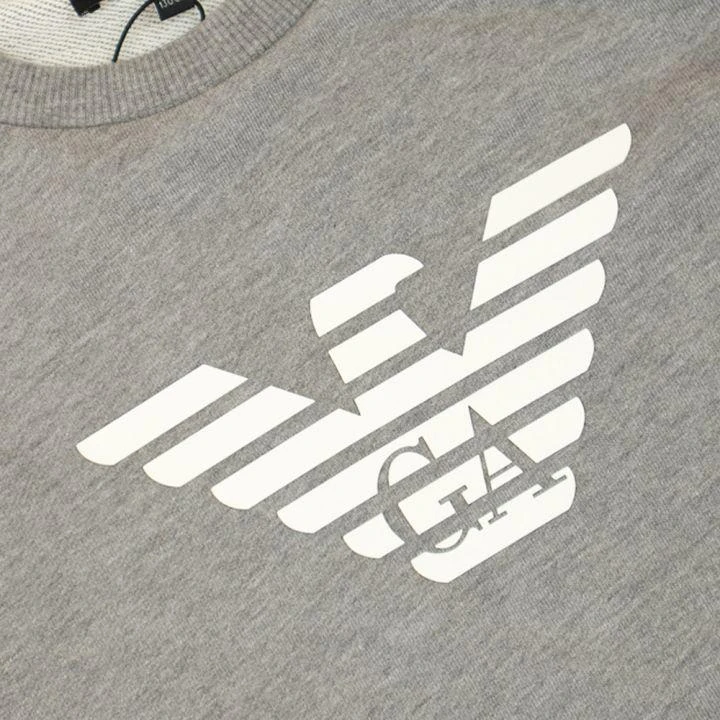 商品Emporio Armani|Grey Eagle Logo Sweatshirt,价格¥454,第2张图片详细描述