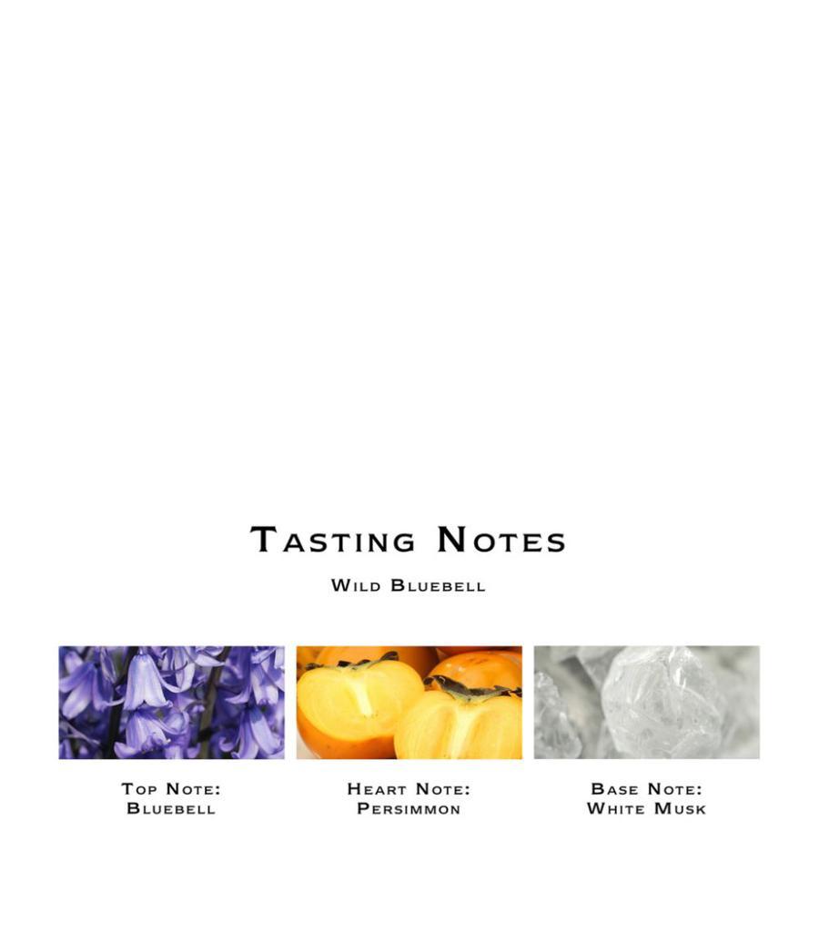 商品Jo Malone London|Wild Bluebell Body And Hand Wash (250Ml),价格¥307,第4张图片详细描述