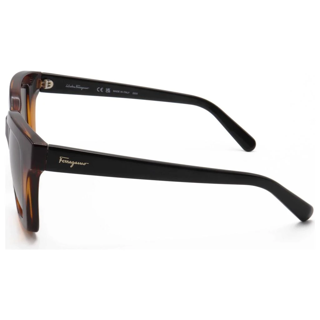 商品Salvatore Ferragamo|Ferragamo Women's Sunglasses SF955S-214,价格¥525,第2张图片详细描述
