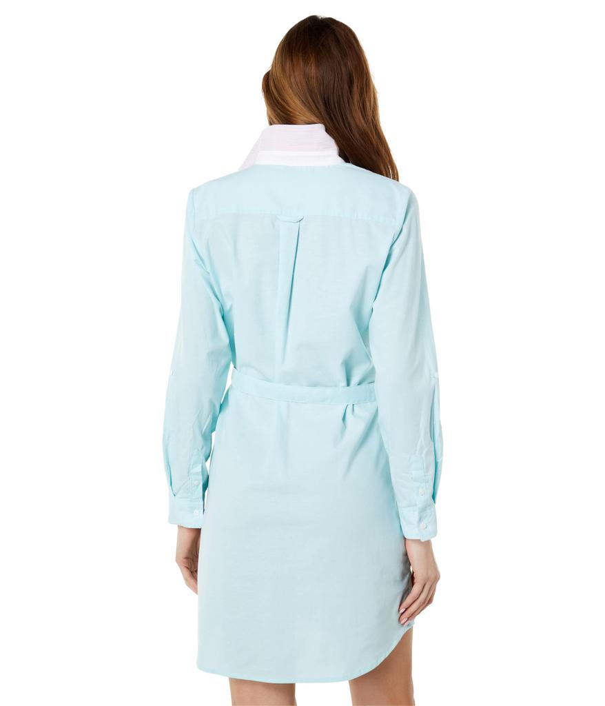 Long Sleeve Solid Stretch Oxford Dress商品第2张图片规格展示