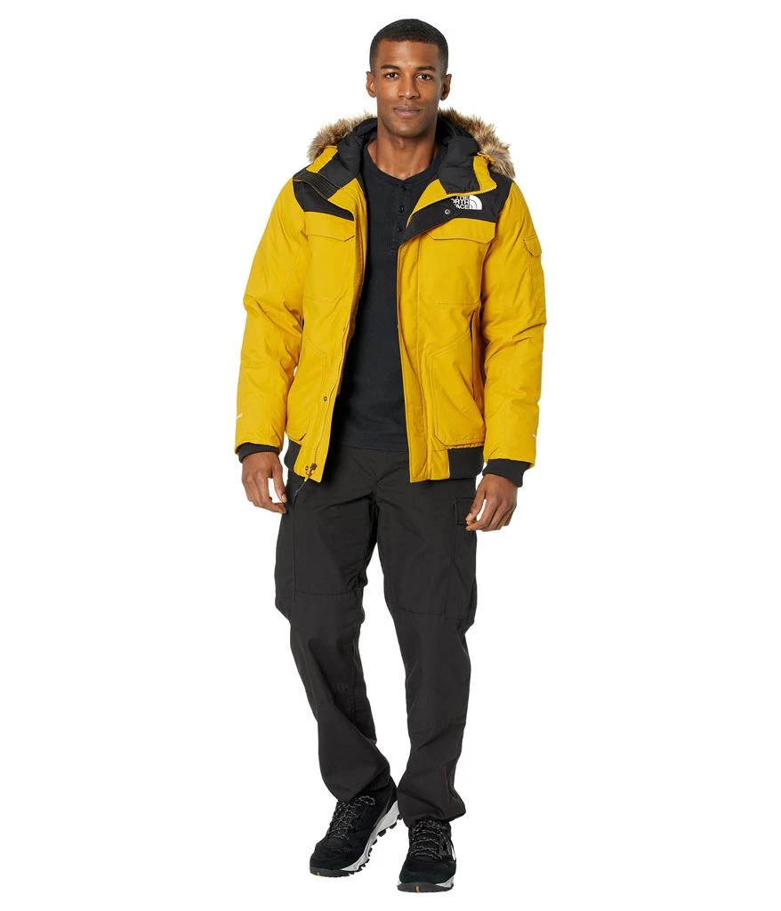 商品The North Face|北面 Gotham系列3代 夹克,价格¥1176,第5张图片详细描述