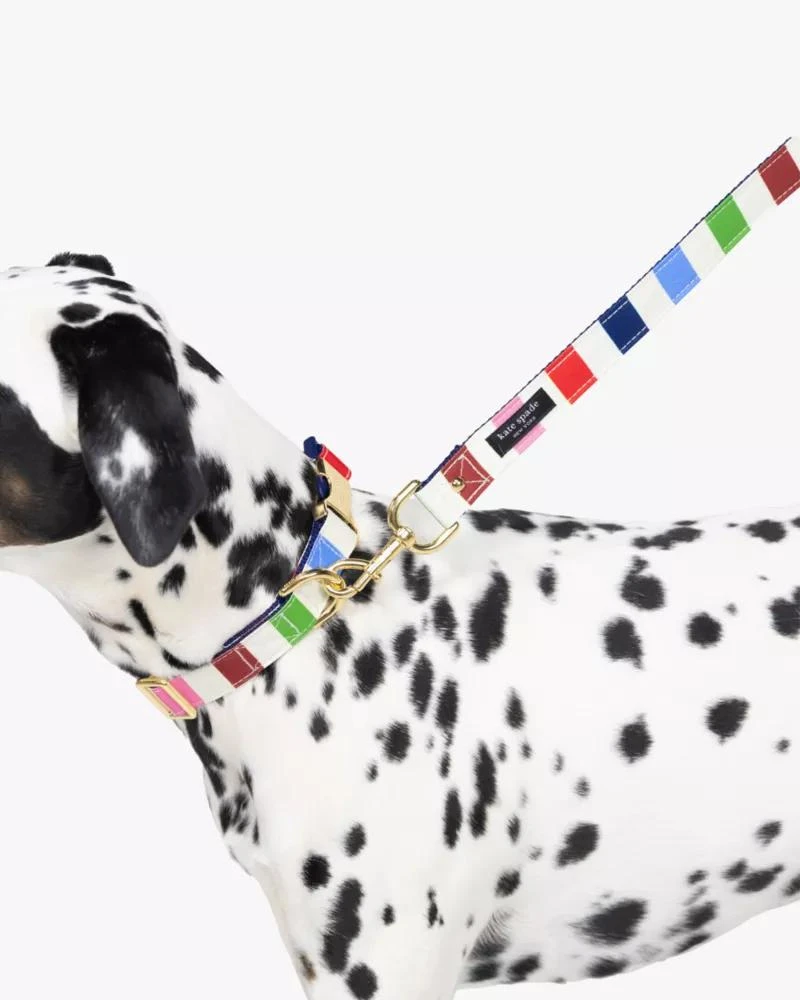 商品Kate Spade|Adventure Stripe Collar S/M,价格¥214,第4张图片详细描述