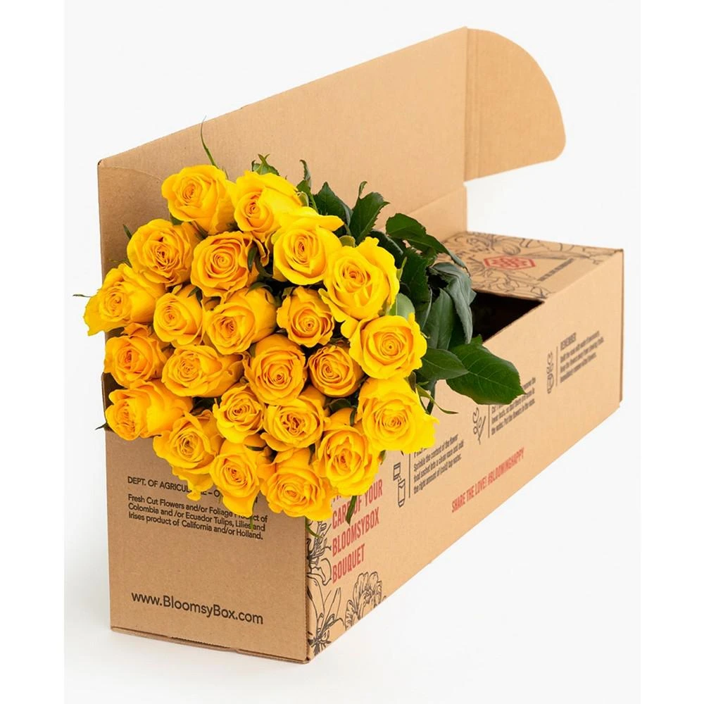 商品BloomsyBox|Two Dozen Yellow Roses Fresh Flower Bouquet,价格¥486,第4张图片详细描述