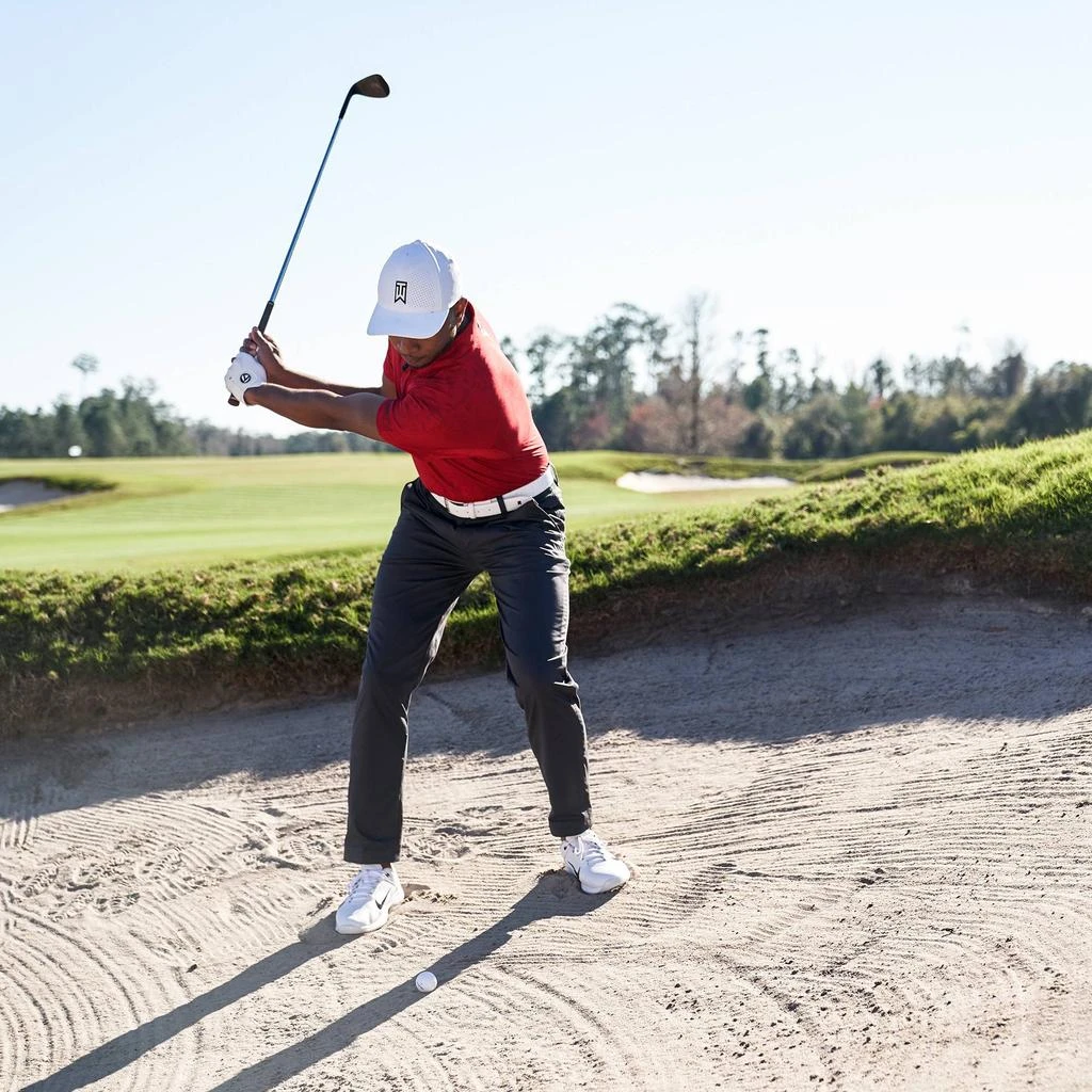 Nike Men's Dri-Fit ADV Tiger Woods Golf Polo 商品