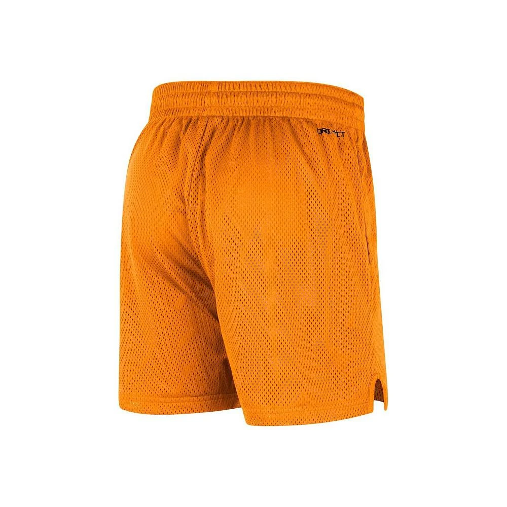 商品NIKE|Men's Tennessee Orange Tennessee Volunteers Mesh Performance Shorts,价格¥371,第3张图片详细描述