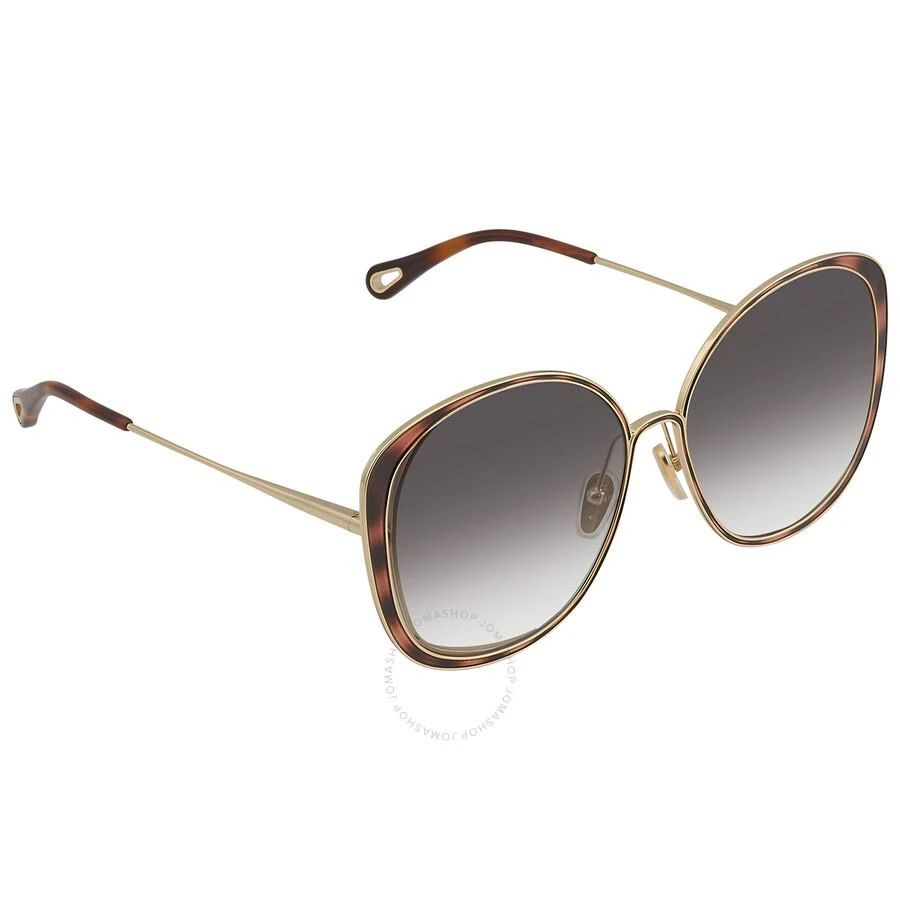 商品Chloé|Chloe Grey Gradient Cat Eye Ladies Sunglasses CH0036S 001 63,价格¥1476,第2张图片详细描述