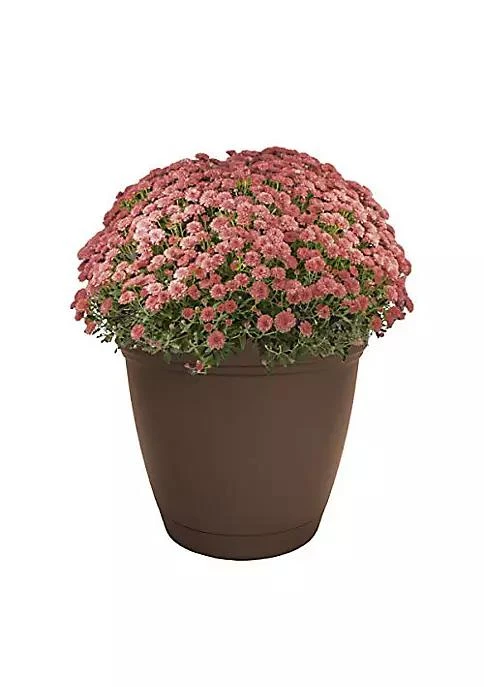 商品The HC Companies|Hc Companies The Hc Companies Eclipse Round Planter 16   Chocolate,价格¥256,第2张图片详细描述