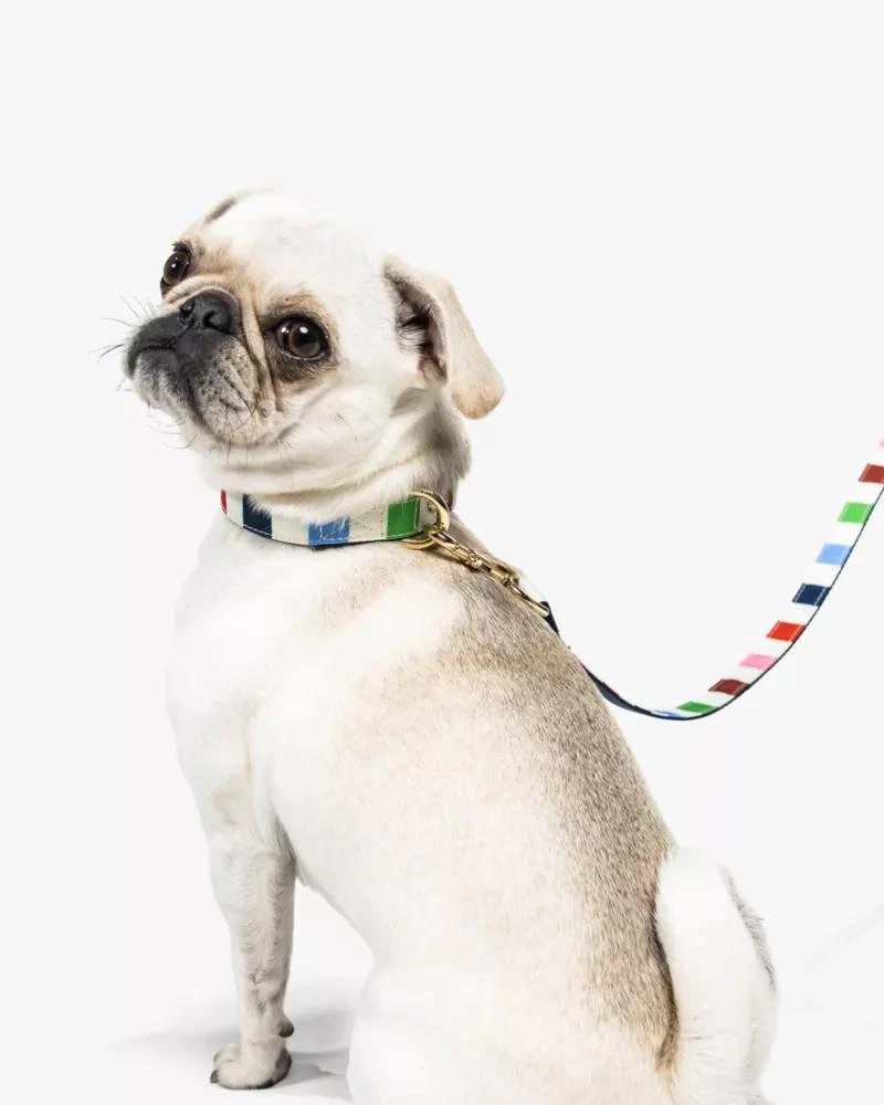 商品Kate Spade|Adventure Stripe Leash S/M,价格¥243,第3张图片详细描述