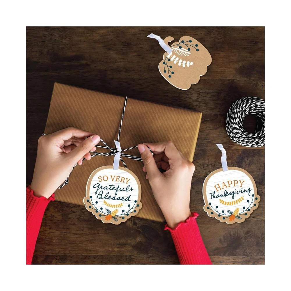 商品Big Dot of Happiness|Happy Thanksgiving - Fall Harvest Decorations - Tree Ornaments - Set of 12,价格¥156,第3张图片详细描述