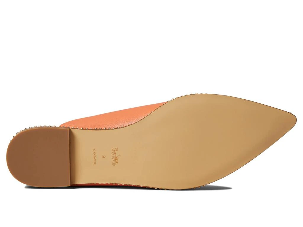 商品Coach|Vae Skimmer,价格¥796,第3张图片详细描述