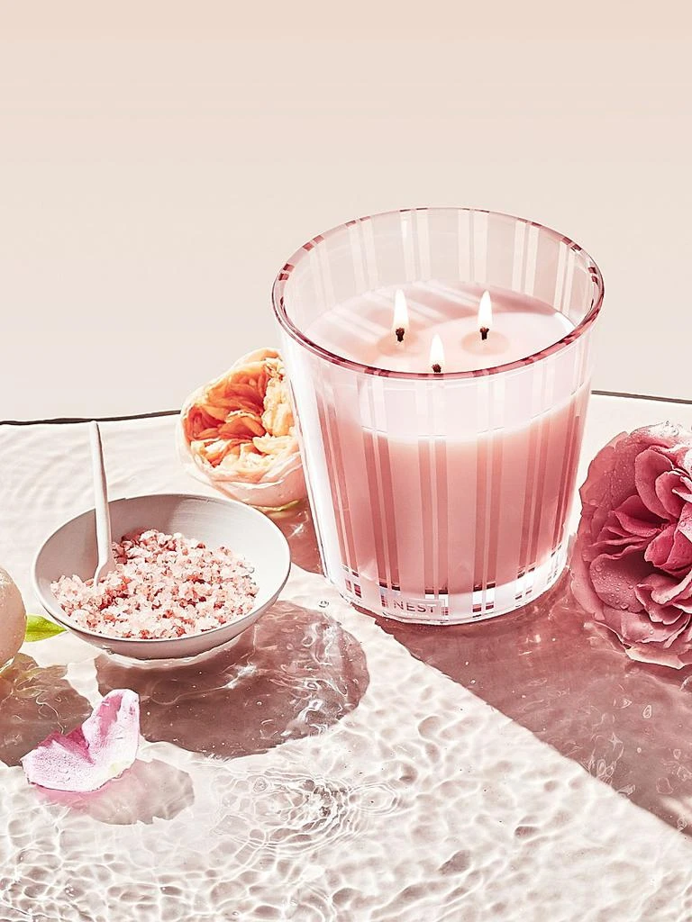 商品NEST New York|Wellness Himalayan Salt & Rosewater 3-Wick Candle,价格¥627,第3张图片详细描述
