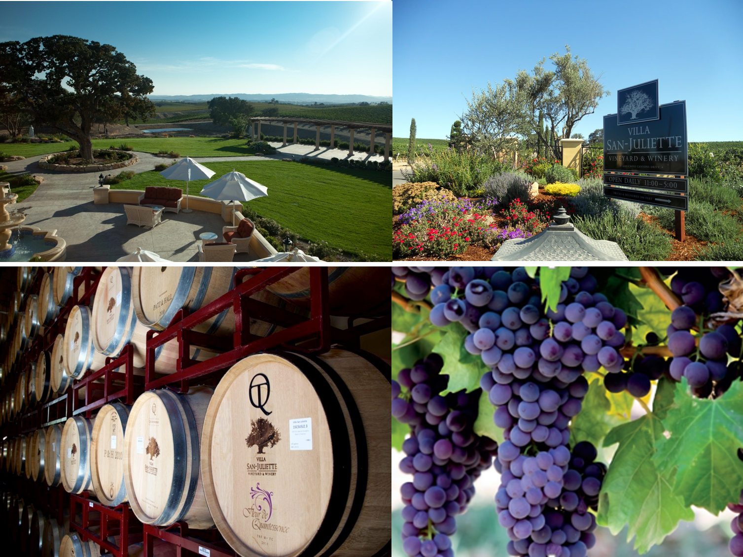 圣朱丽叶珍藏和谐混酿干红葡萄酒 2014 | VSJ Chorum Red Wine 2014 (Paso Robles, CA）商品第7张图片规格展示