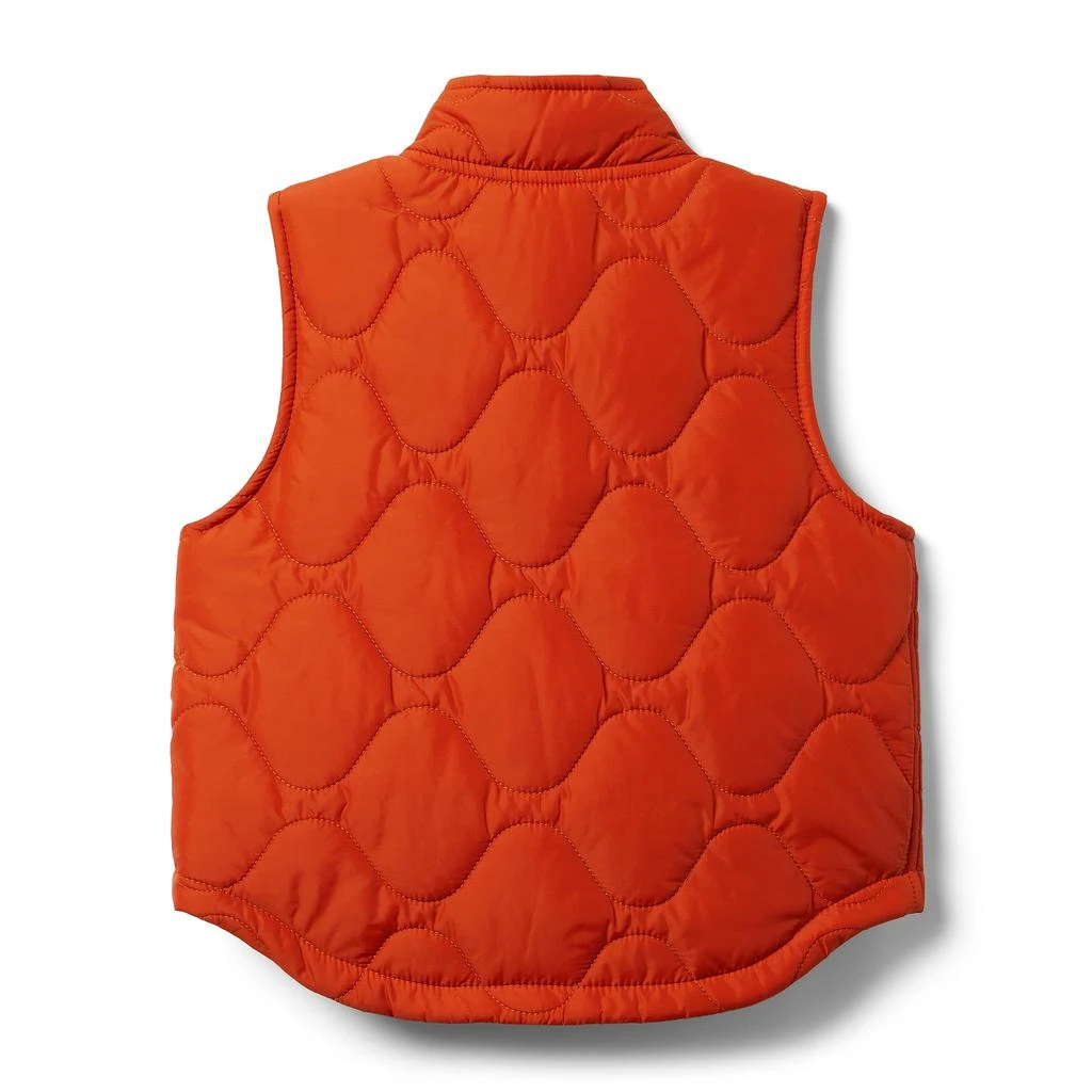 商品Janie and Jack|Quilted Puffer Vest (Toddler/Little Kids/Big Kids),价格¥402,第2张图片详细描述