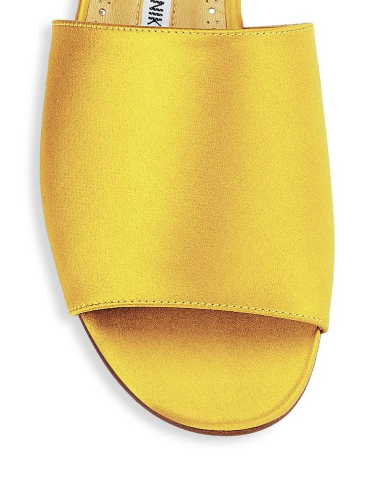 商品Manolo Blahnik|Classic Open Toe Sandals,价格¥1781,第3张图片详细描述