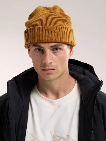 商品Arc'teryx|Mallow Toque Hat,价格¥338,第3张图片详细描述