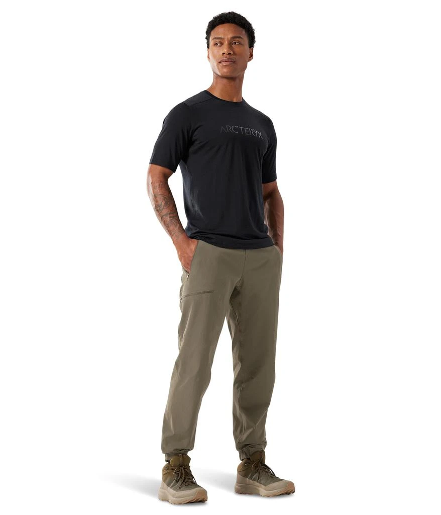商品Arc'teryx|始祖鸟男士 Ionia 美利奴羊毛 T恤,价格¥754,第4张图片详细描述