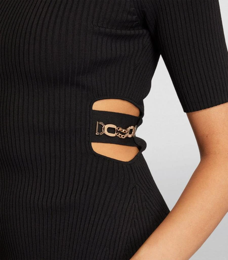 Ribbed Mini Dress 商品
