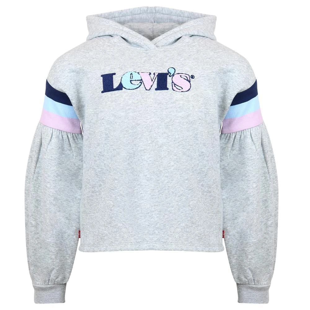 商品Levi's|Grey Cotton Logo Cropped Hoodie,价格¥163,第1张图片