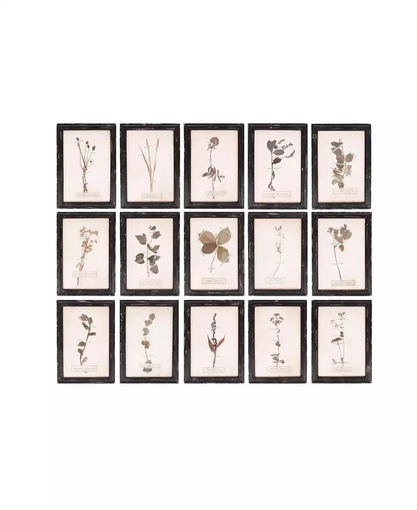 商品3R Studio|Wood Framed Wall Plaques with Dried Flower Images, Multicolor, Set of 16,价格¥4126,第1张图片