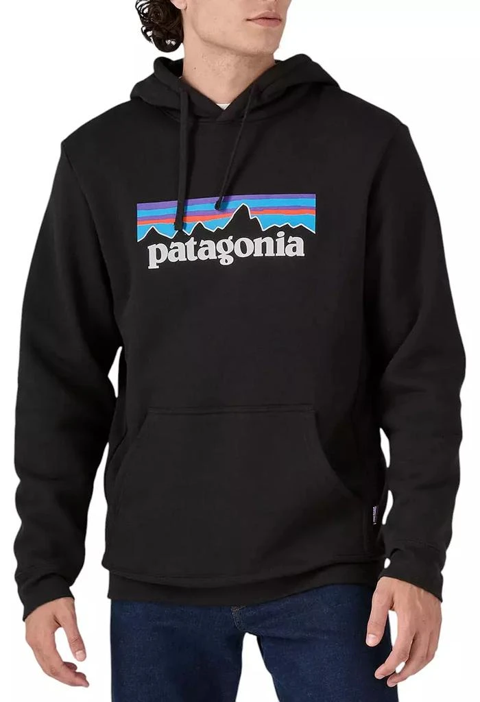 商品Patagonia|男士连帽套头衫,价格¥723,第3张图片详细描述