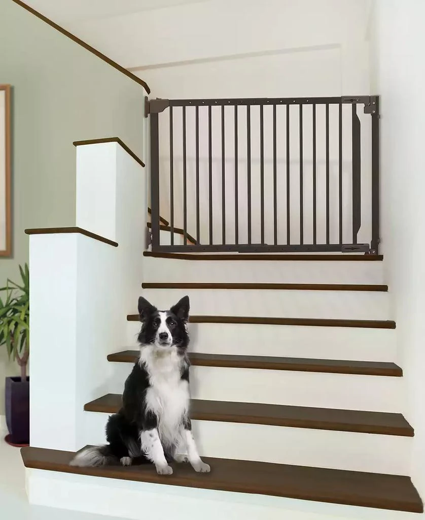 商品Richell|Expandable Walk-Thru Pet Gate,价格¥1699,第3张图片详细描述