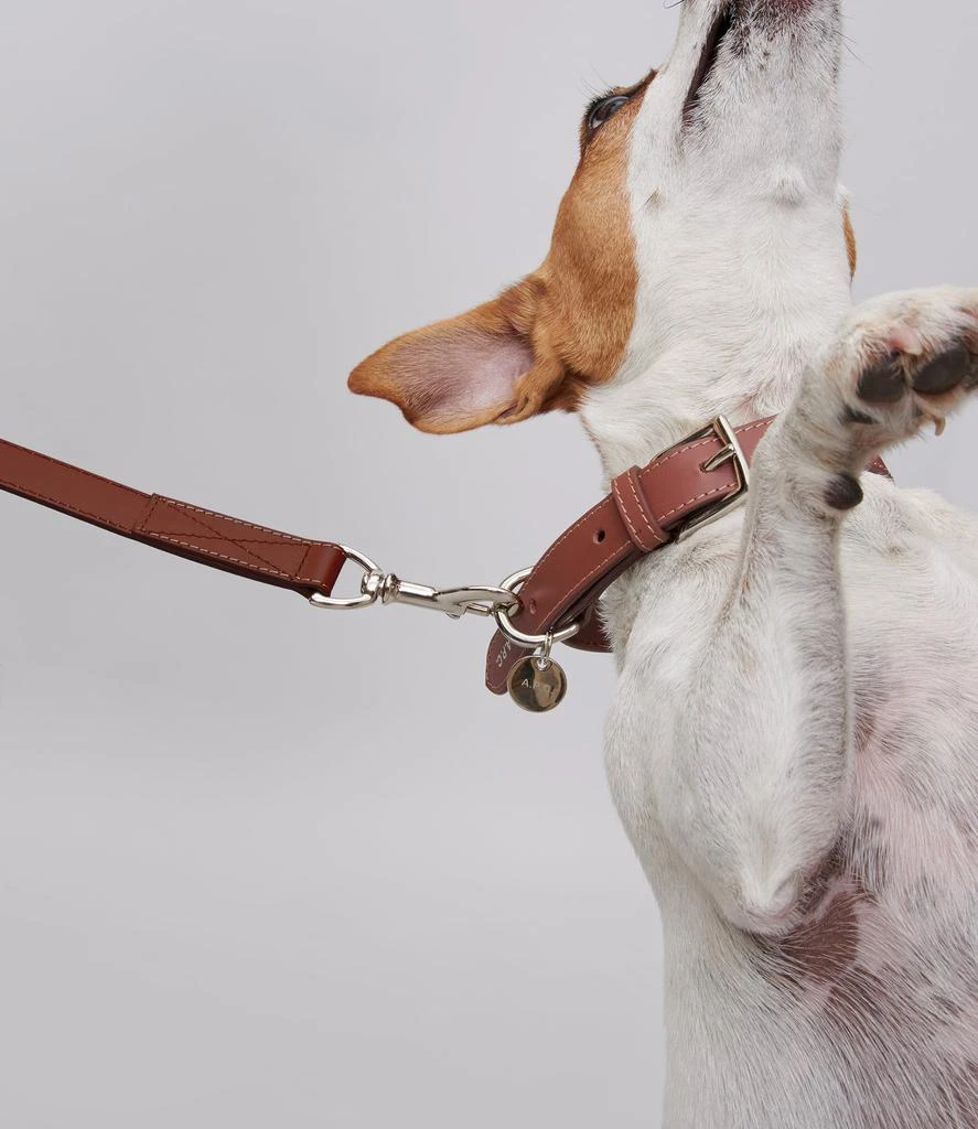 商品Toutou|Toutou leather leash,价格¥2200,第2张图片详细描述