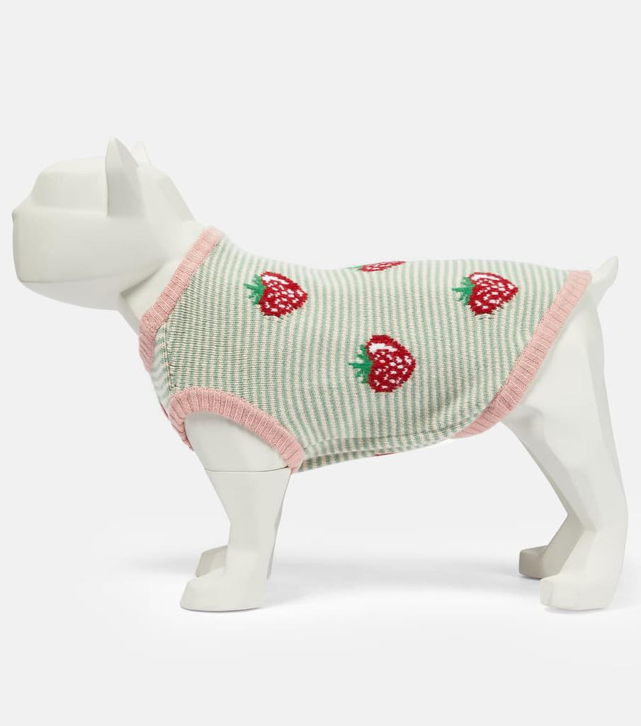 Exclusive to Mytheresa – Strawberry intarsia-knit dog coat商品第2张图片规格展示