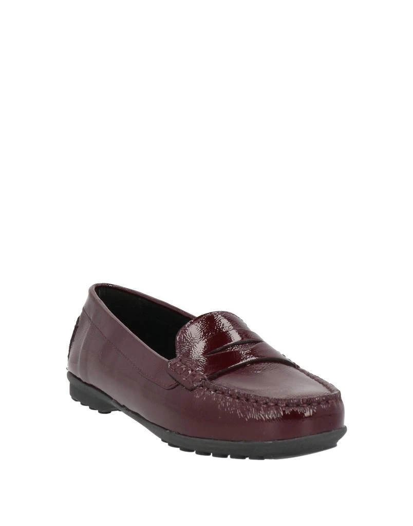 商品Geox|Loafers,价格¥523,第2张图片详细描述