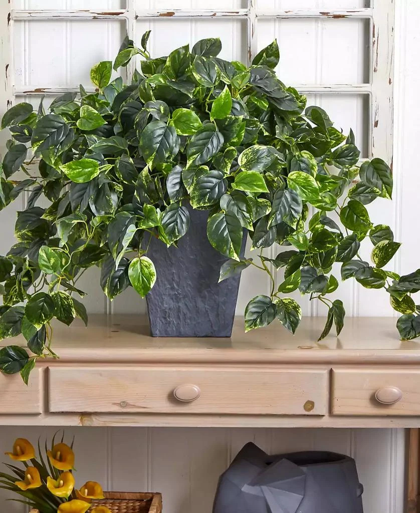 商品NEARLY NATURAL|Hanging Pothos w/ Slate Planter UV Resistant,价格¥1553,第5张图片详细描述