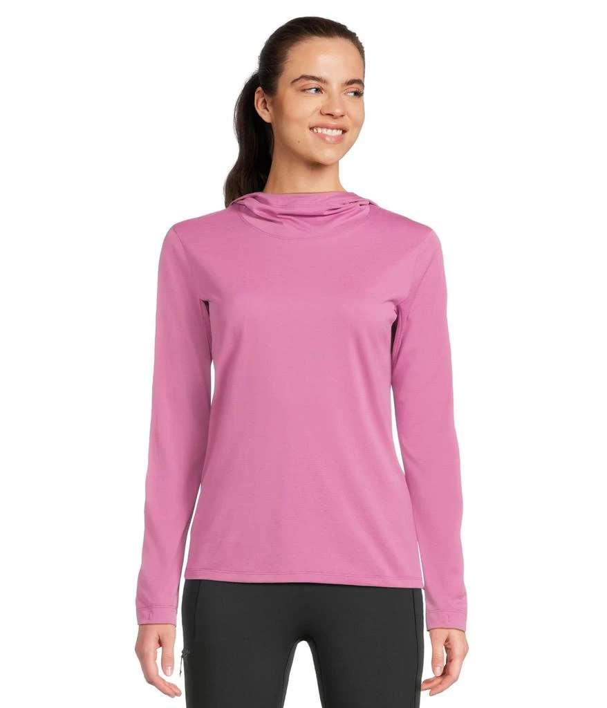 商品Arc'teryx|Taema Hoodie,价格¥724,第1张图片