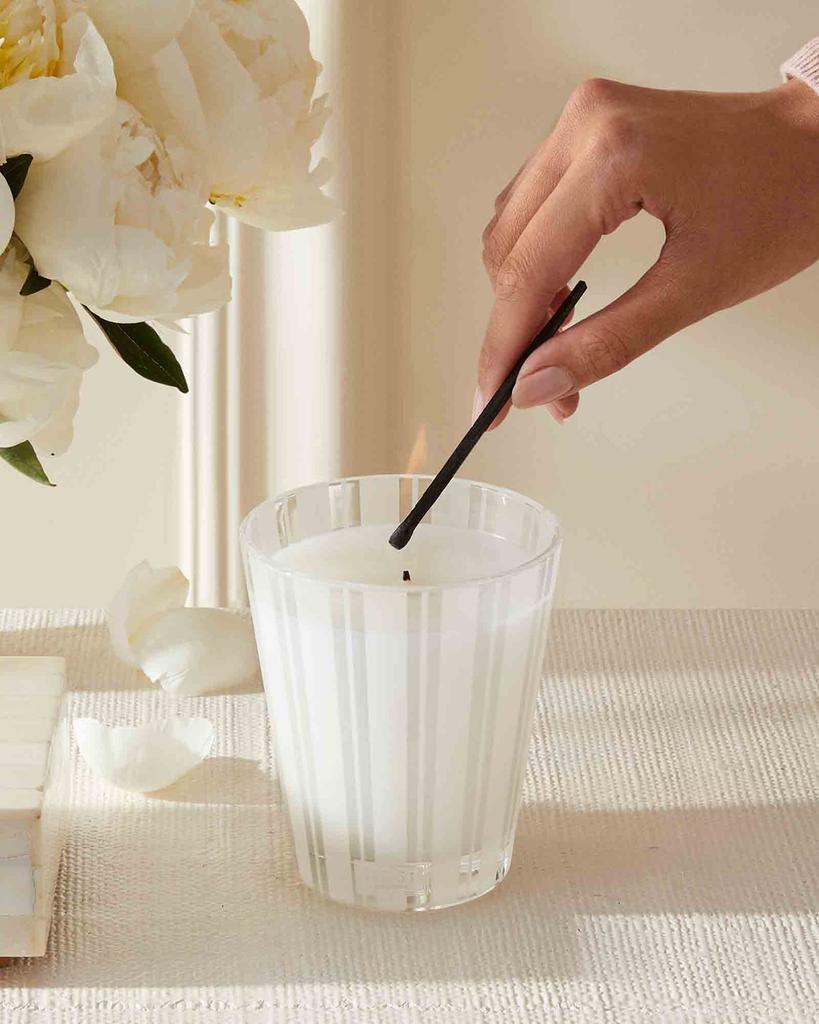 商品NEST New York|8.1 oz. Amalfi Lemon & Mint Classic Candle,价格¥334,第6张图片详细描述