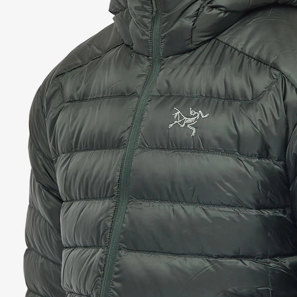 商品Arc'teryx|Arc'teryx Cerium LT Hoody,价格¥3322,第5张图片详细描述