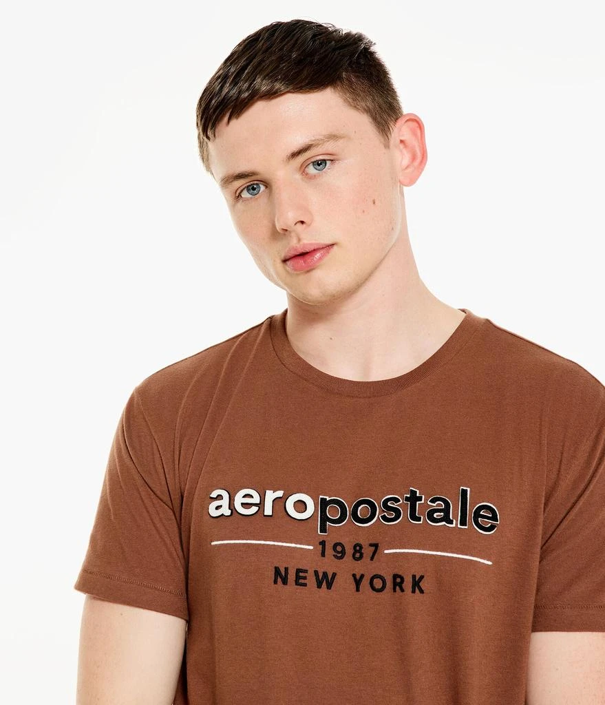 商品Aeropostale|Aeropostale Men's 1987 Logo Appliquac Graphic Tee,价格¥56,第5张图片详细描述