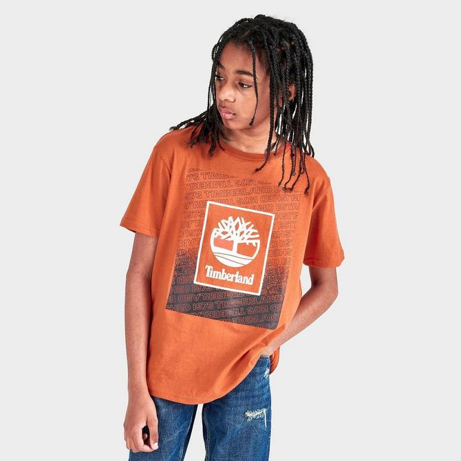 Boys' Timberland Box Logo T-Shirt商品第3张图片规格展示