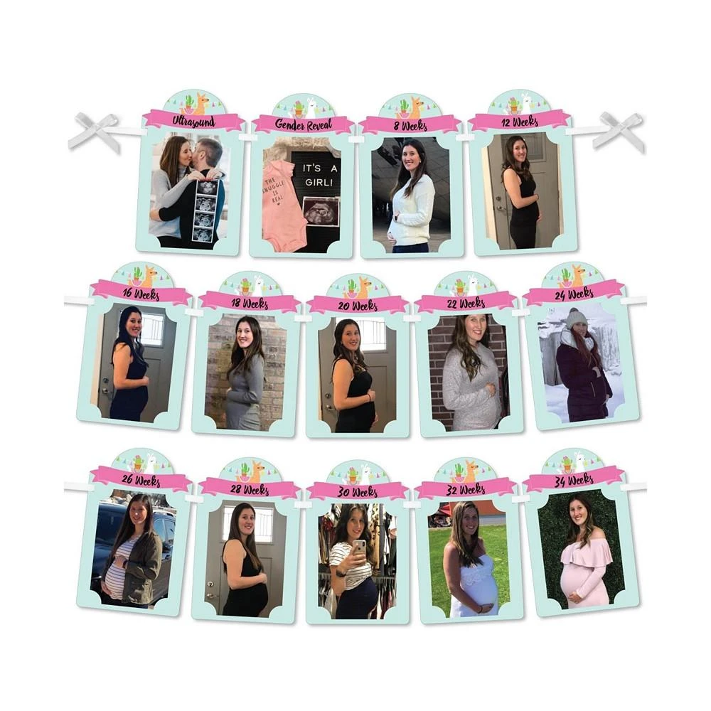 商品Big Dot of Happiness|Whole Llama Fun - DIY Baby Shower Decor - Pregnancy Picture Display Photo Banner,价格¥119,第1张图片