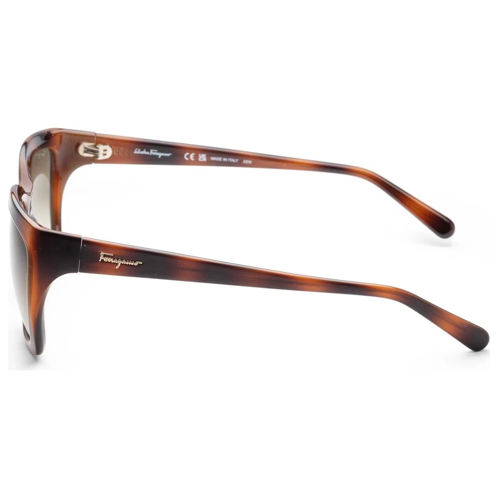 商品Salvatore Ferragamo|Ferragamo Women's Sunglasses SF1018S-214,价格¥487,第2张图片详细描述