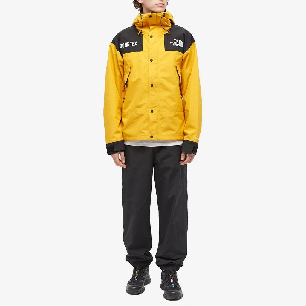 商品The North Face|The North Face Gore-Tex Mountain Jacket,价格¥3985,第4张图片详细描述