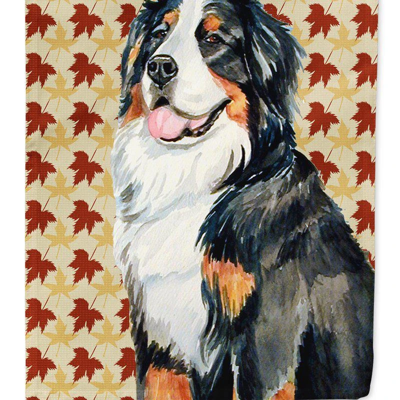 商品Caroline's Treasures|Bernese Mountain Dog Fall Leaves Portrait Garden Flag 2-Sided 2-Ply,价格¥136,第1张图片
