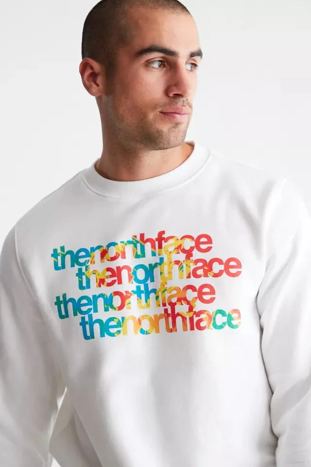 商品The North Face|The North Face Graphic Injection Crew Neck Sweatshirt,价格¥227,第4张图片详细描述