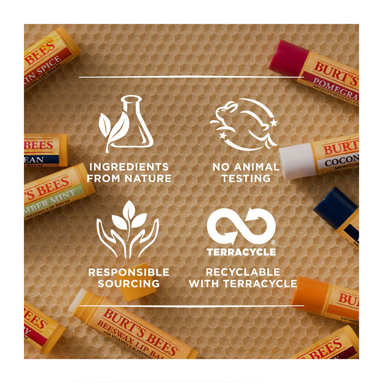 Burt's Bees 小蜜蜂 蜂蜡润唇膏 铁盒装 8.5g商品第4张图片规格展示