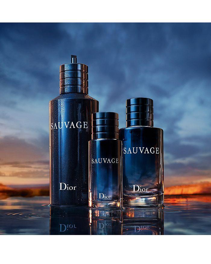 商品Dior|Sauvage Eau de Toilette,价格¥459-¥1220,第6张图片详细描述