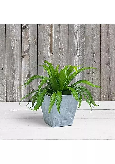 商品belk|Novelty 35080 Ella Square Planter Gray 8 Inch,价格¥154,第3张图片详细描述