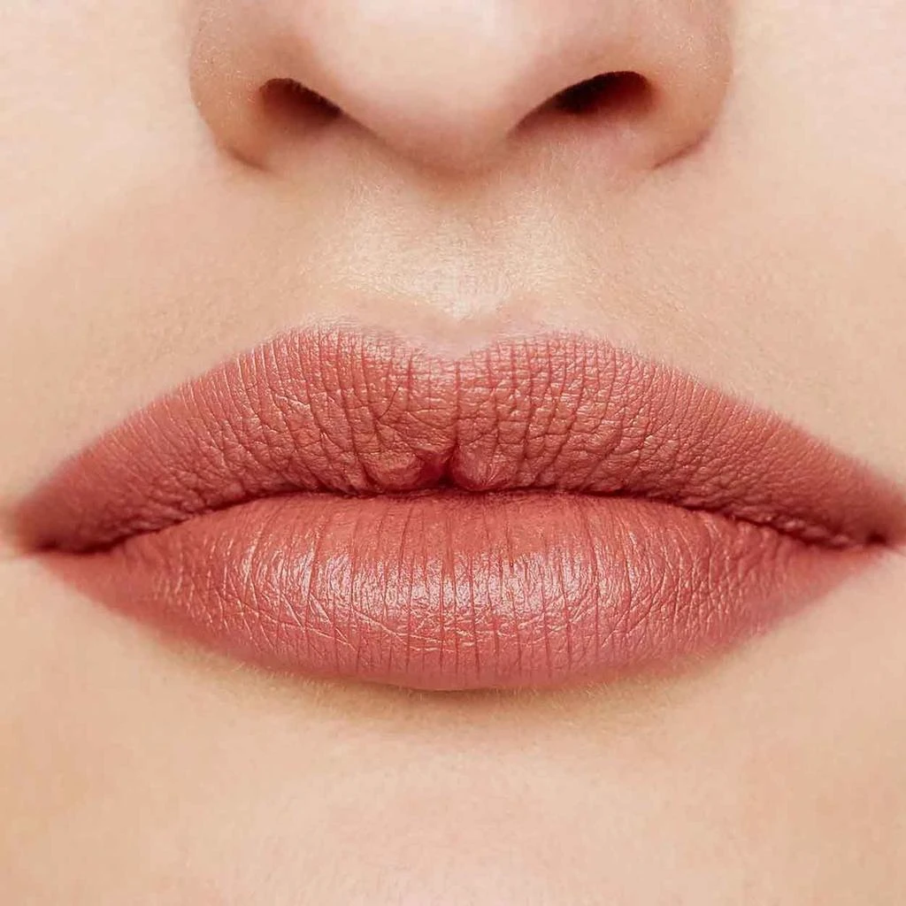 Wild With Desire Lipstick 商品
