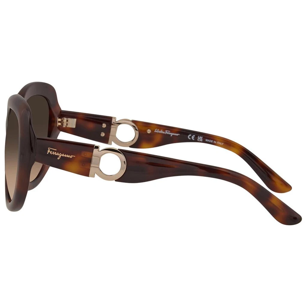 商品Salvatore Ferragamo|Salvatore Ferragamo Women's Sunglasses - Tortoise Cat Eye Shape Frame | SF727S 214,价格¥543,第3张图片详细描述