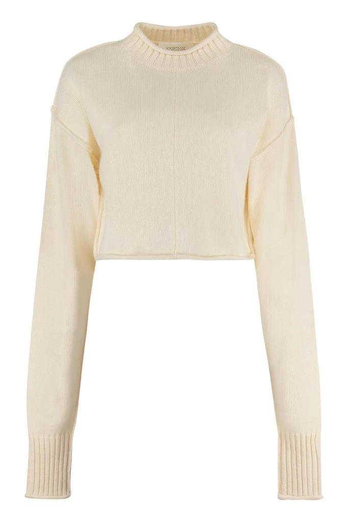 商品Max Mara|Sportmax Crewneck Long-Sleeved Jumper,价格¥1912,第1张图片